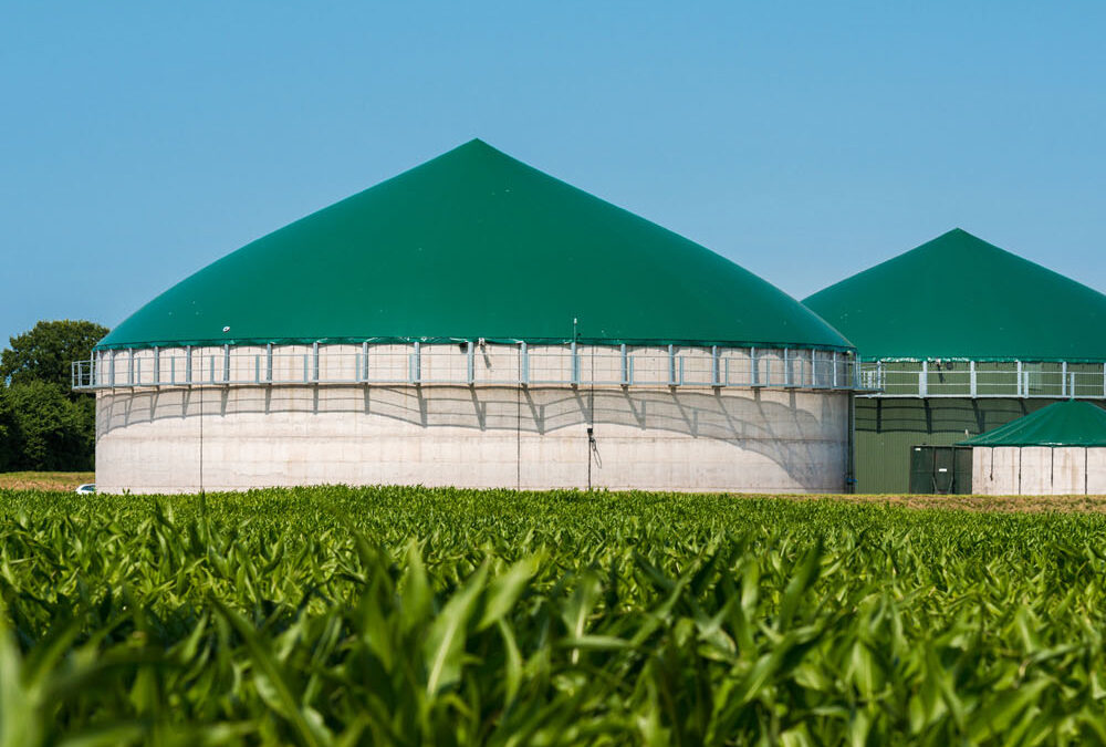 Impianto Biogas Pignataro Interamna (FR)